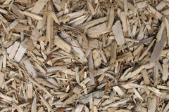 biomass boilers Sheringwood